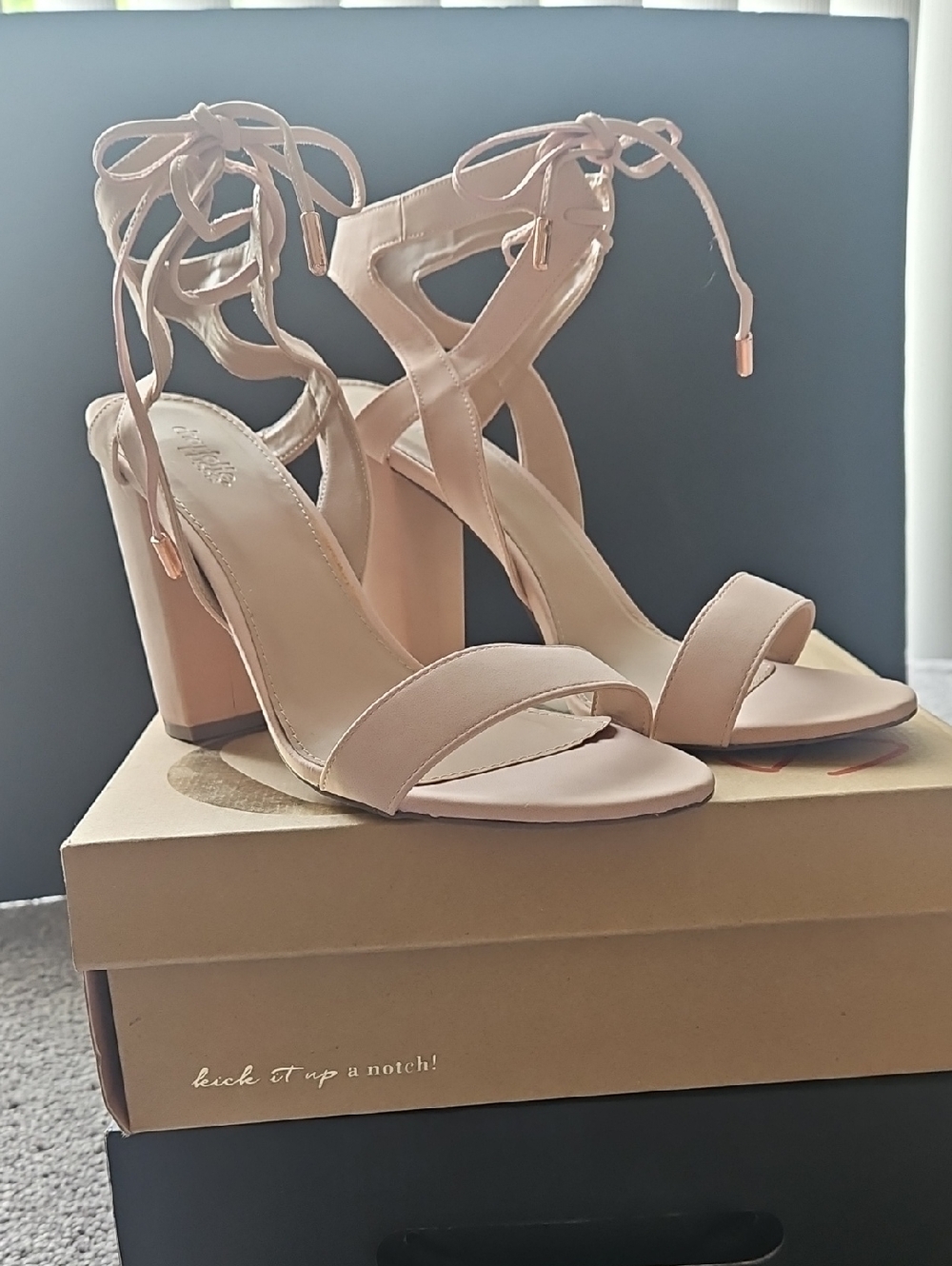 Charlotte Russe Blush Nude Lace-Up Block Heel Sandals